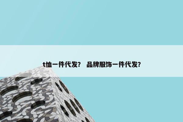 t恤一件代发？ 品牌服饰一件代发？