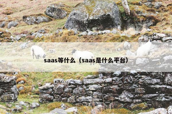saas等什么（saas是什么平台）