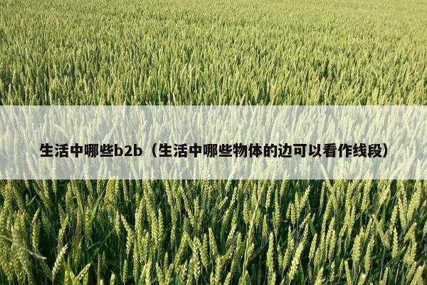 生活中哪些b2b（生活中哪些物体的边可以看作线段）