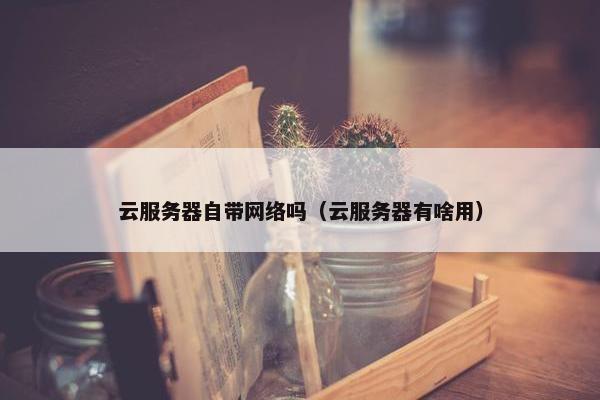 云服务器自带网络吗（云服务器有啥用）