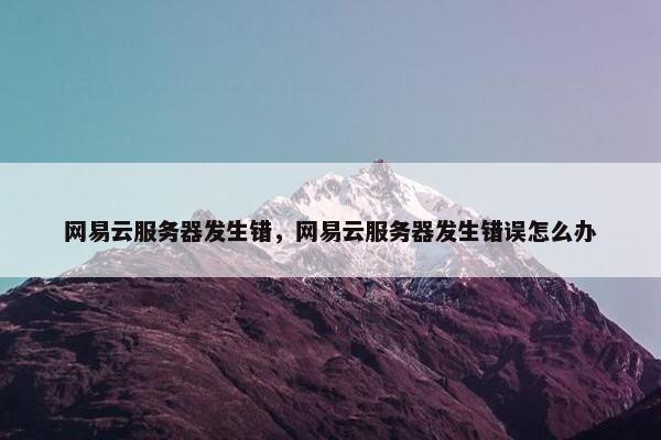 网易云服务器发生错,网易云服务器发生错误怎么办