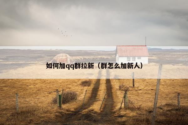 如何加qq群拉新(群怎么加新人) 如何加qq群拉新(群怎么加新人)