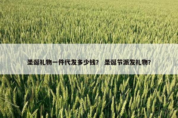 圣诞礼物一件代发多少钱? 圣诞节派发礼物? 圣诞礼物一件代发多少钱? 圣诞节派发礼物?