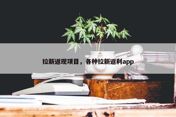 拉新返现项目,各种拉新返利app