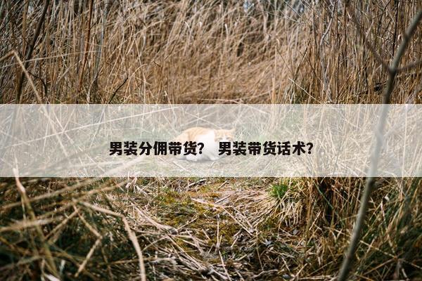 男装分佣带货？ 男装带货话术？