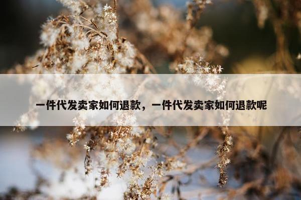 一件代发卖家如何退款，一件代发卖家如何退款呢