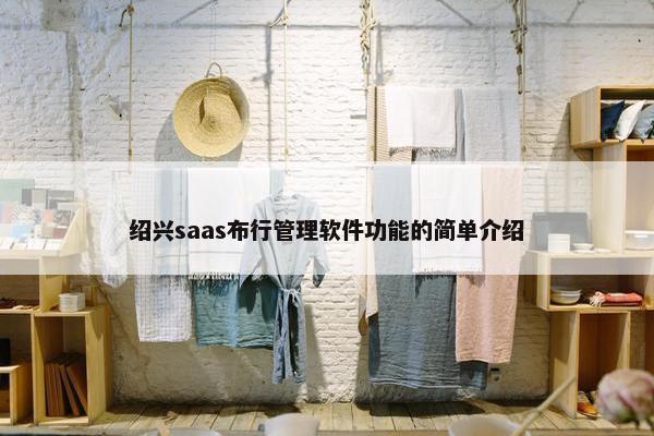 绍兴saas布行管理软件功能的简单介绍