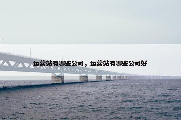 运营站有哪些公司，运营站有哪些公司好