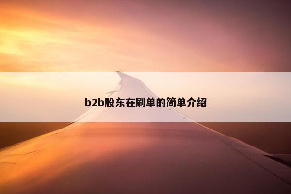 b2b股东在刷单的简单介绍