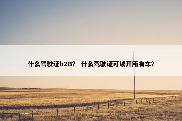 什么驾驶证b2B? 什么驾驶证可以开所有车?