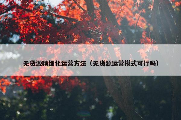 无货源精细化运营方法（无货源运营模式可行吗）