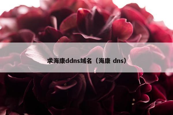 求海康ddns域名(海康 dns)