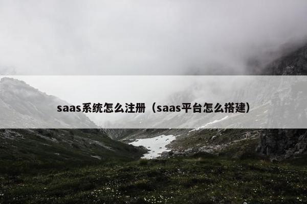 saas系统怎么注册(saas平台怎么搭建)