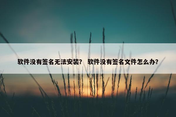 软件没有签名无法安装? 软件没有签名文件怎么办?