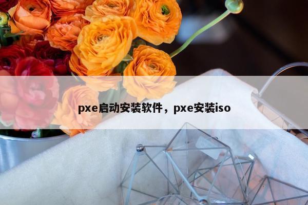 pxe启动安装软件,pxe安装iso