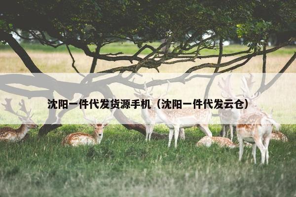 沈阳一件代发货源手机(沈阳一件代发云仓)