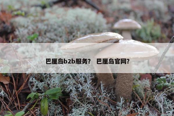 巴厘岛b2b服务？ 巴厘岛官网？