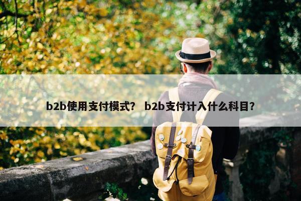 b2b使用支付模式? b2b支付计入什么科目?