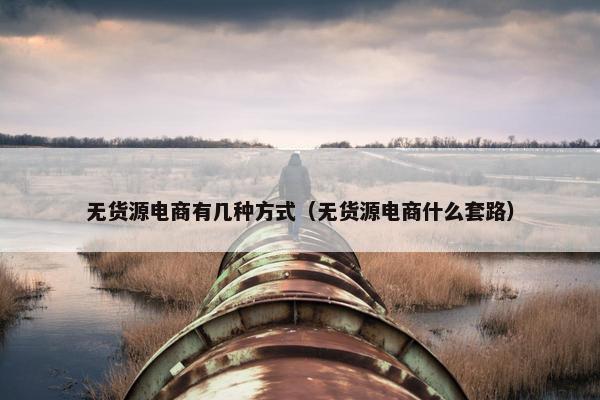 无货源电商有几种方式(无货源电商什么套路)