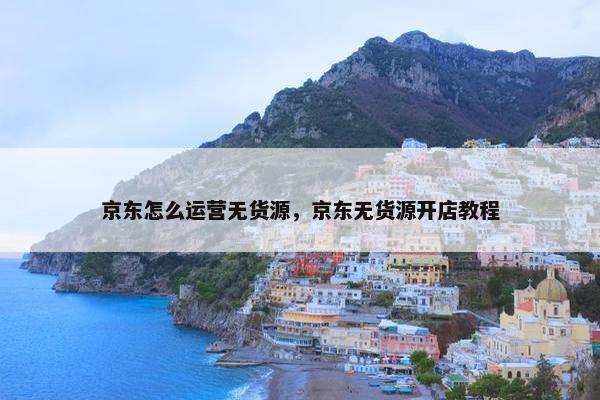 京东怎么运营无货源，京东无货源开店教程