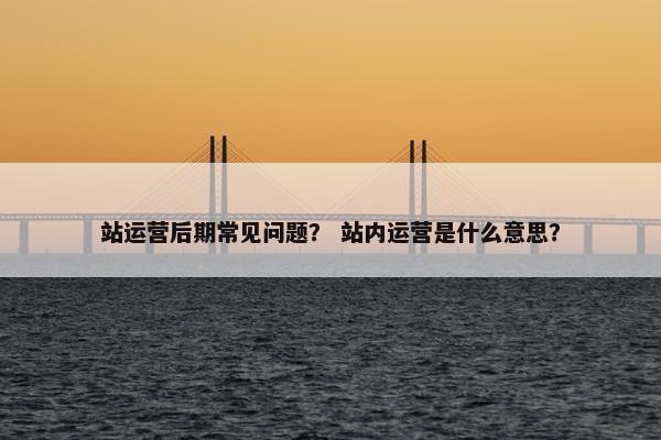 站运营后期常见问题？ 站内运营是什么意思？