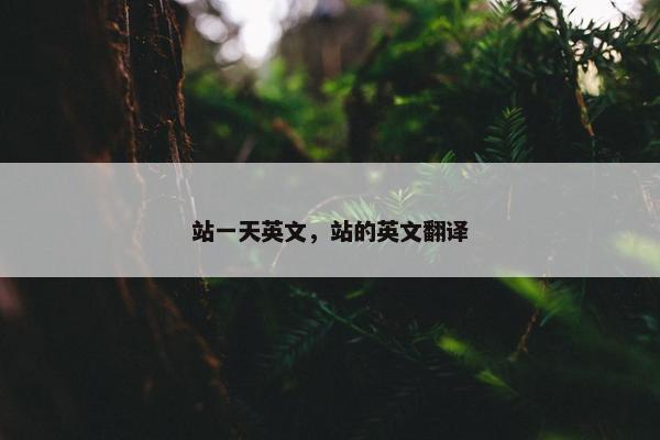 站一天英文，站的英文翻译