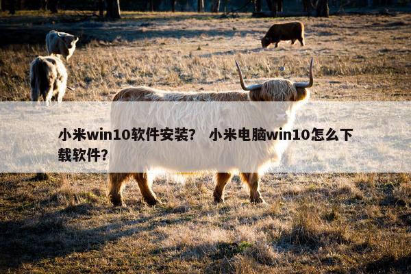 小米win10软件安装? 小米电脑win10怎么下载软件?