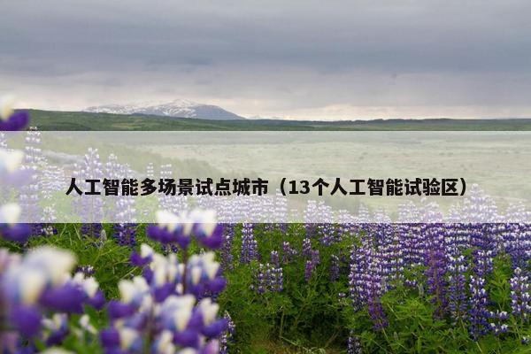 人工智能多场景试点城市(13个人工智能试验区)