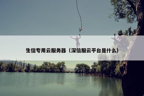 生信专用云服务器（深信服云平台是什么）