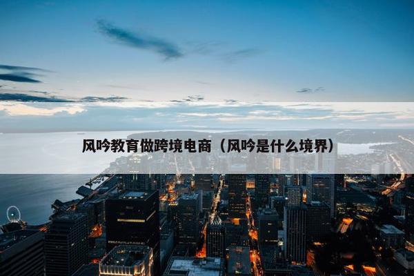 风吟教育做跨境电商（风吟是什么境界）