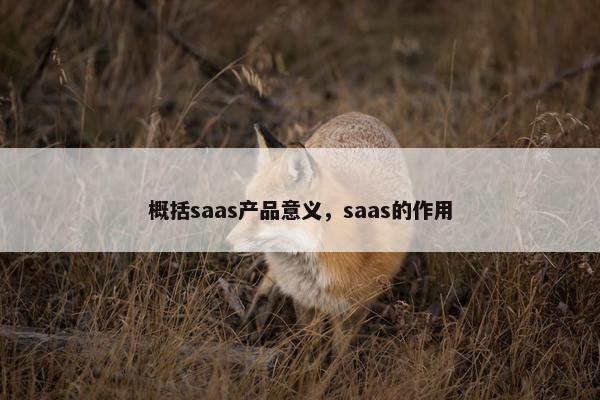 概括saas产品意义,saas的作用