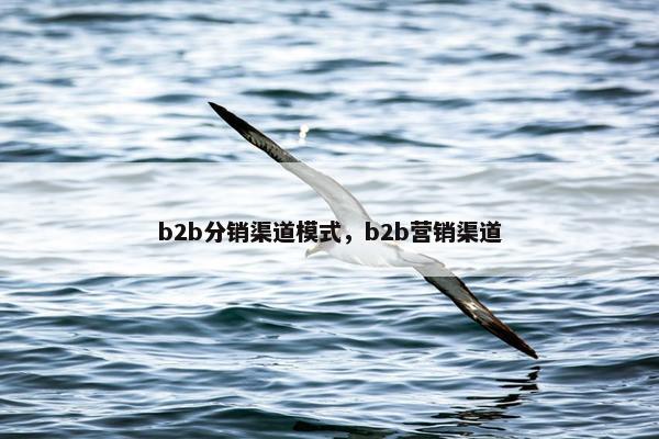 b2b分销渠道模式，b2b营销渠道
