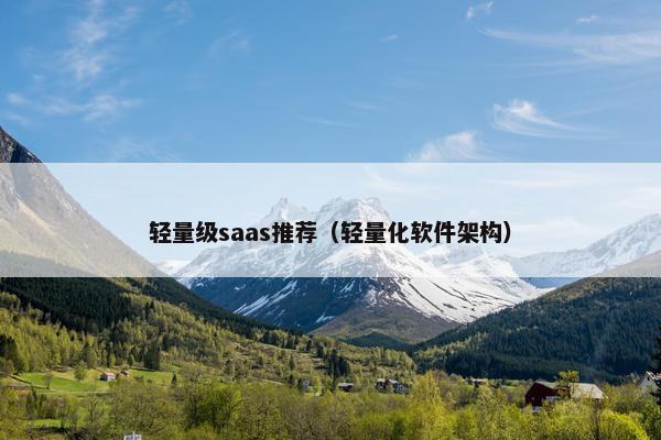 轻量级saas推荐（轻量化软件架构）