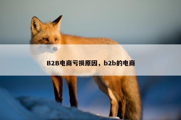 B2B电商亏损原因,b2b的电商