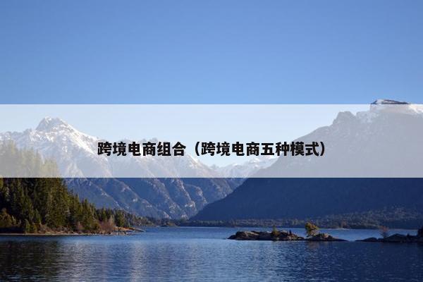 跨境电商组合(跨境电商五种模式)