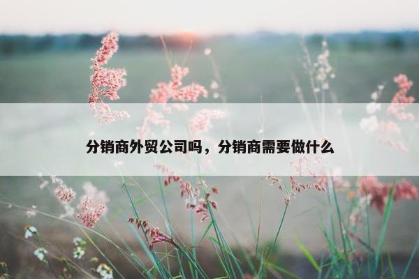 分销商外贸公司吗，分销商需要做什么