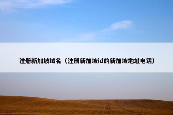 注册新加坡域名（注册新加坡id的新加坡地址电话）