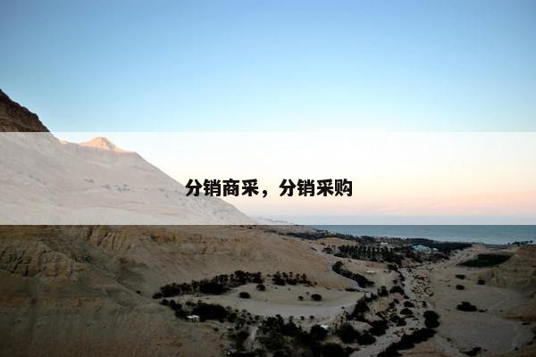 分销商采,分销采购