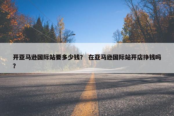 开亚马逊国际站要多少钱? 在亚马逊国际站开店挣钱吗?