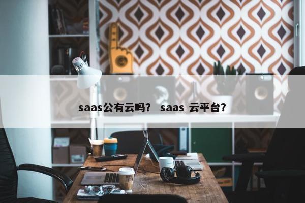 saas公有云吗? saas 云平台?