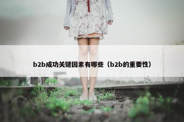 b2b成功关键因素有哪些(b2b的重要性)