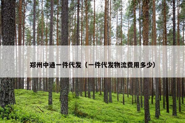 郑州中通一件代发（一件代发物流费用多少）