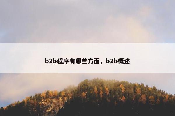 b2b程序有哪些方面,b2b概述