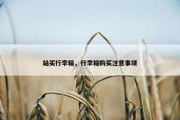 站买行李箱,行李箱购买注意事项 站买行李箱,行李箱购买注意事项