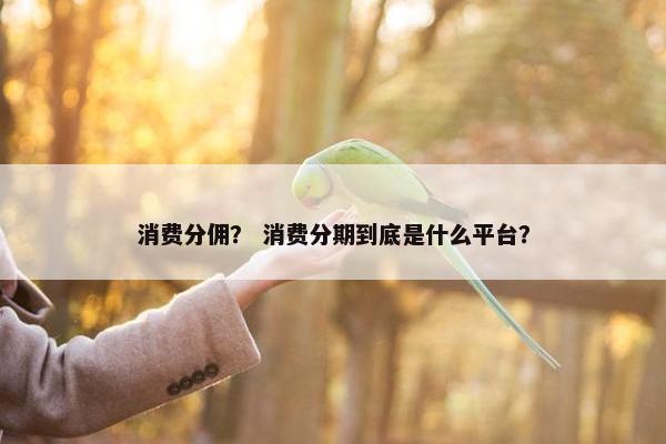消费分佣? 消费分期到底是什么平台?