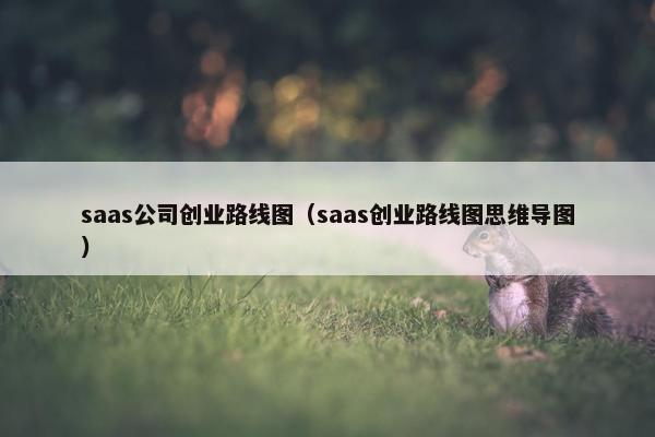 saas公司创业路线图(saas创业路线图思维导图)