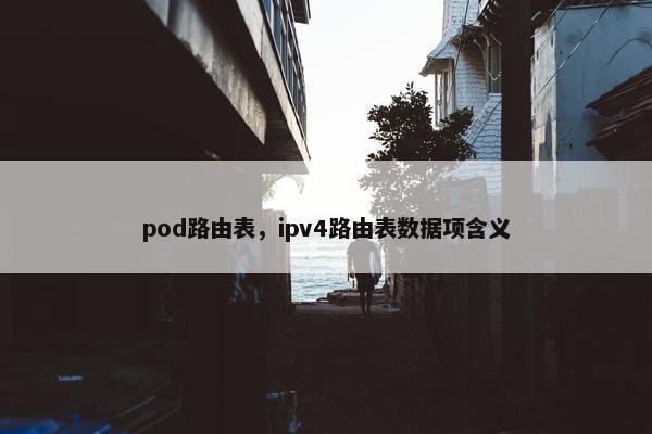 pod路由表，ipv4路由表数据项含义