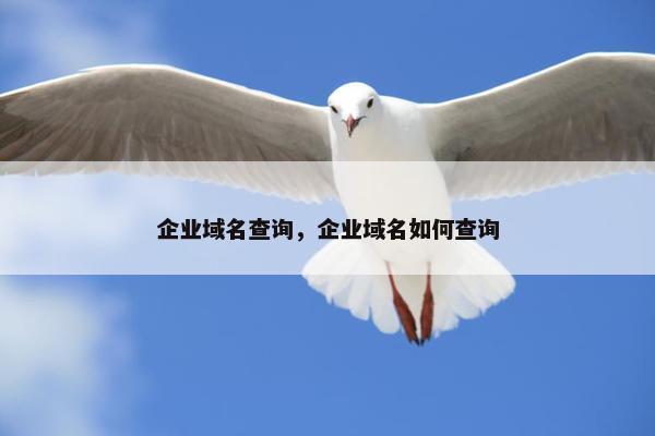 企业域名查询,企业域名如何查询