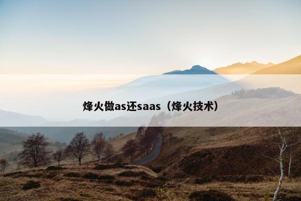 烽火做as还saas（烽火技术）