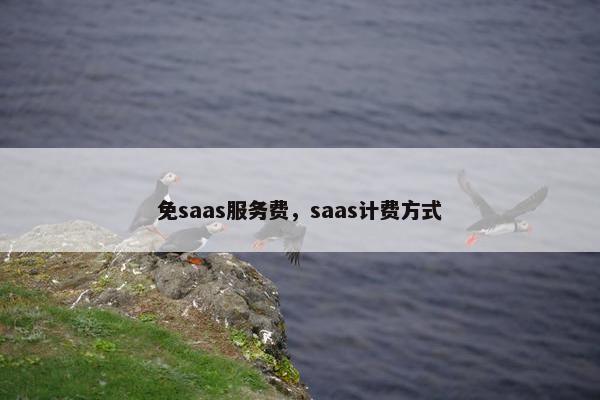 免saas服务费,saas计费方式